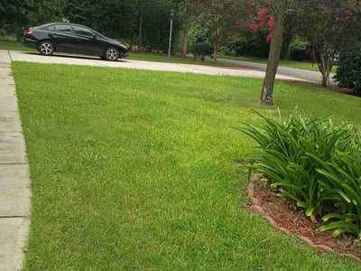 Lawn care service in Birmingham, 35215