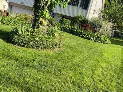 Lawn care service in Meriden, 06451