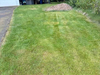 Lawn care service in Bellevue, 98006