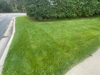 Lawn care service in Minneapolis, 55435