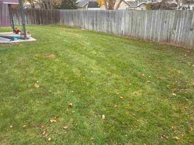 Lawn care service in Boise, 83713