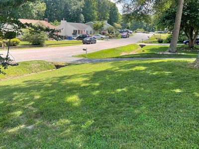Lawn care service in Chester, 23831