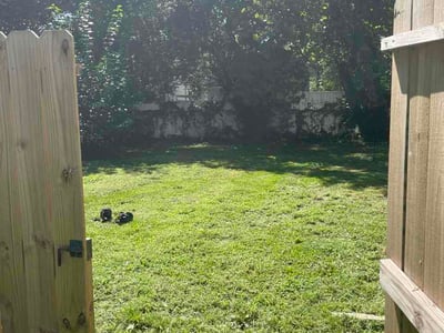 Lawn care service in Portsmouth, 23704
