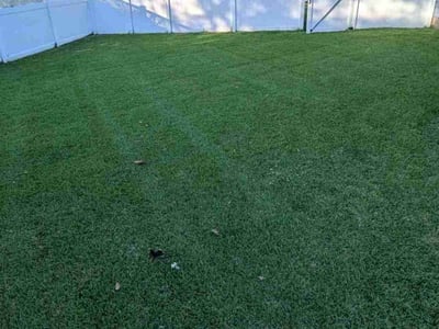 Lawn care service in Myrtle Beach, 29588