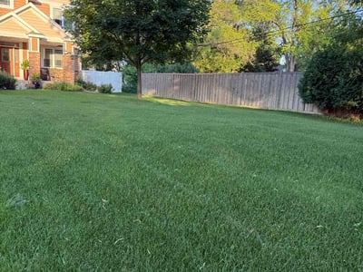 Lawn care service in Minneapolis, 55437