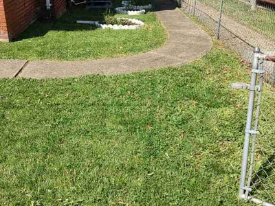 Lawn care service in Washington, 20019