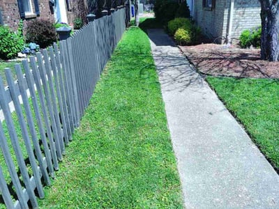Lawn care service in Virginia Beach, 23454