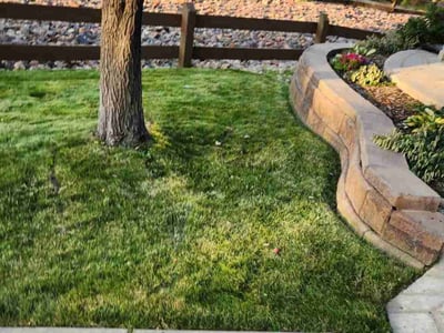 Lawn care service in Littleton, 80130