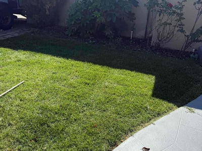 Lawn care service in Sunnyvale, 94086