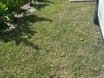 Lawn care service in Deerfield Beach, 33441