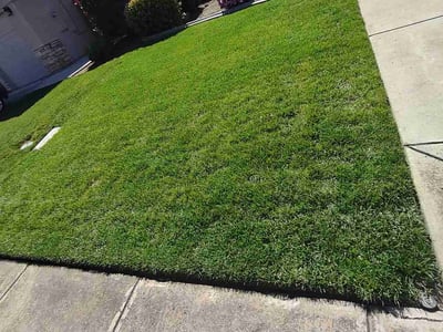 Lawn care service in Riverbank, 95367
