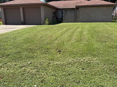 Lawn care service in Katy, 77493