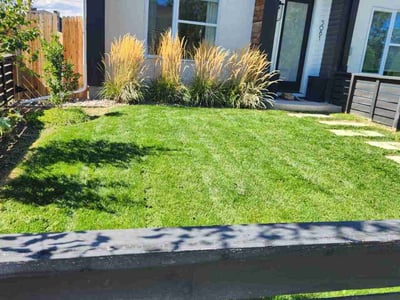 Lawn care service in Englewood, 80110