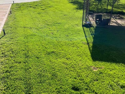 Lawn care service in Tempe, 85282