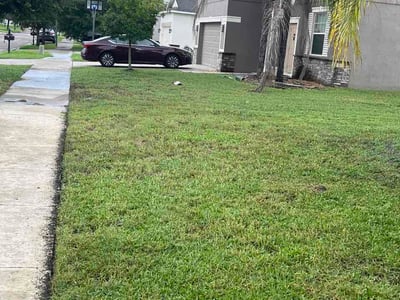 Lawn care service in Ruskin, 33570
