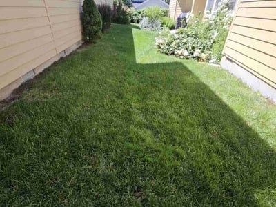Lawn care service in Boise, 83716