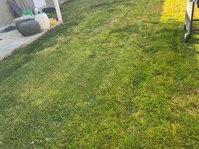 Lawn care service in Lakewood, 90712