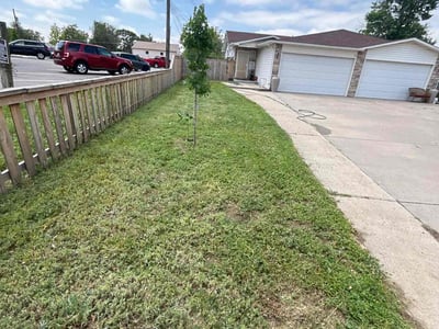 Lawn care service in Commerce City, 80022