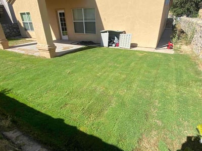 Lawn care service in El Paso, 79934