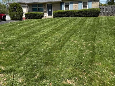 Lawn care service in Louisville, 40242