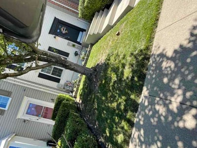 Lawn care service in Odenton, 21113