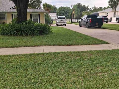 Lawn care service in Mount Dora, 32757