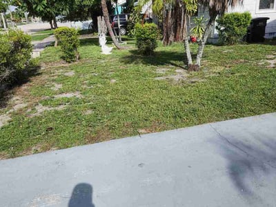 Lawn care service in West Palm Beach, 33407