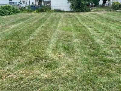 Lawn care service in Warren, 48089