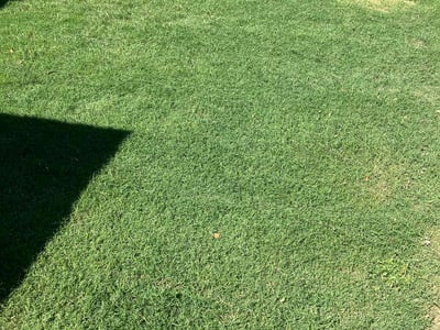 Lawn care service in Georgetown, 78628
