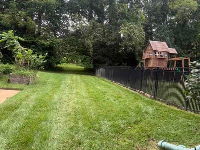 Lawn care service in Louisville, 40245