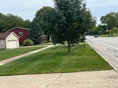 Lawn care service in Palatine, 60067