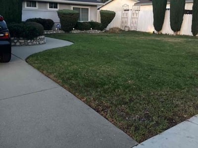 Lawn care service in Pomona, 91767