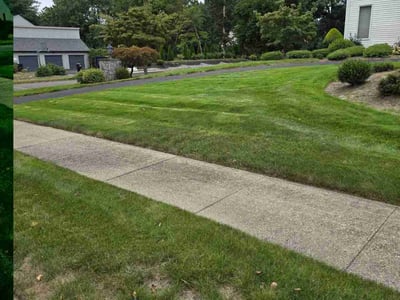 Lawn care service in Longmeadow, 01106