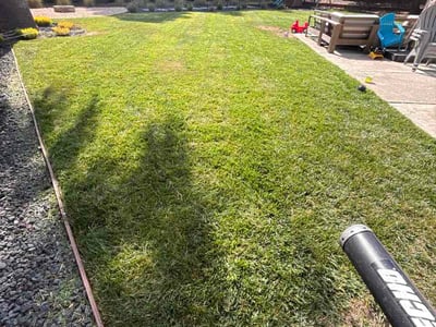 Lawn care service in Walnut Creek, 94598