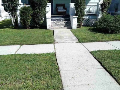 Lawn care service in Charleston, 29403
