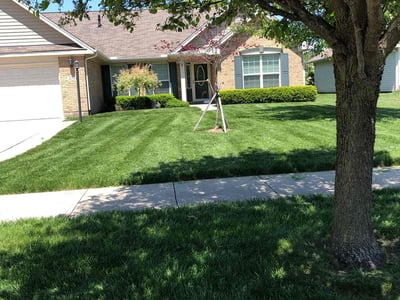 Lawn care service in Dayton, 45431