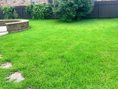 Lawn care service in Round Rock, 78681