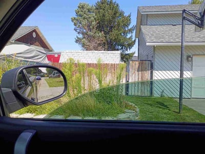 Lawn care service in Kennewick, 99337