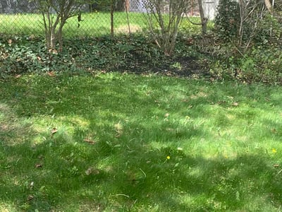 Lawn care service in Boston, 02122
