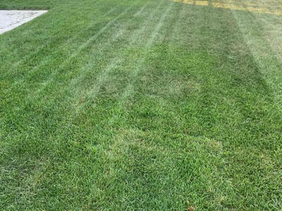 Lawn care service in Downers Grove, 60516