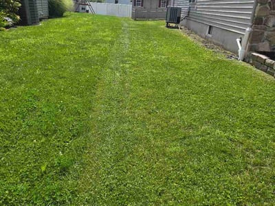 Lawn care service in Ephrata, 17522