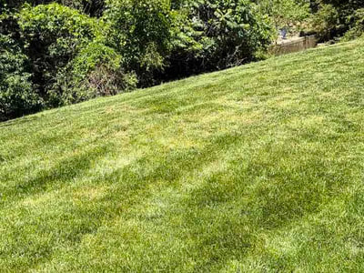 Lawn care service in Fredericksburg, 22406