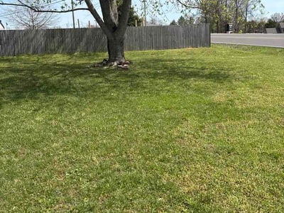 Lawn care service in Clarksville, 37042
