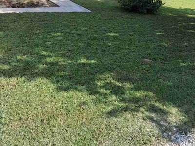 Lawn care service in Dallas, 75216