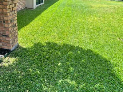 Lawn care service in Garland, 75044