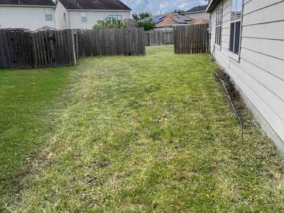 Lawn care service in Houston, 77047