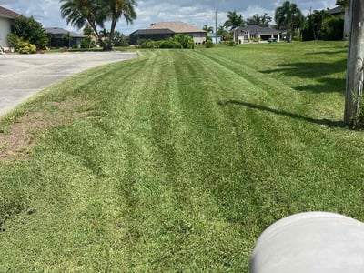 Lawn care service in Rotonda West, 33947