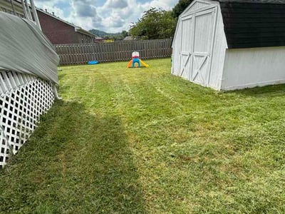 Lawn care service in Louisville, 40272