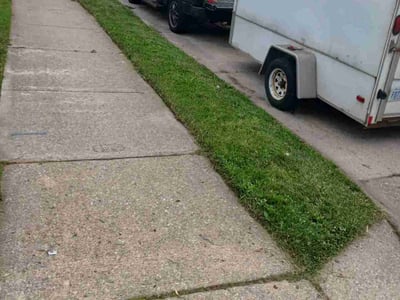 Lawn care service in Eastpointe, 48021