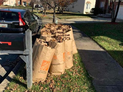 Lawn care service in Lanham, 20706